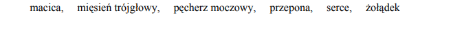 Rodzaje tkanki mięśniowej oraz jej budowa.