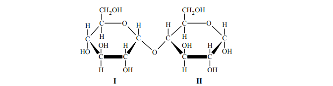 Budowa disacharydów. Wzór dwucukru