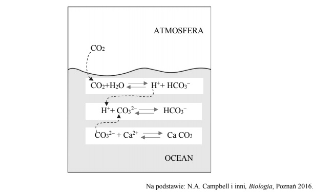 Przemiany dwutlenku węgla w wodach morskich.