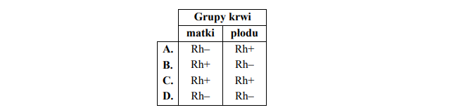 Przyczyny powstawania konfliktu serologicznego.