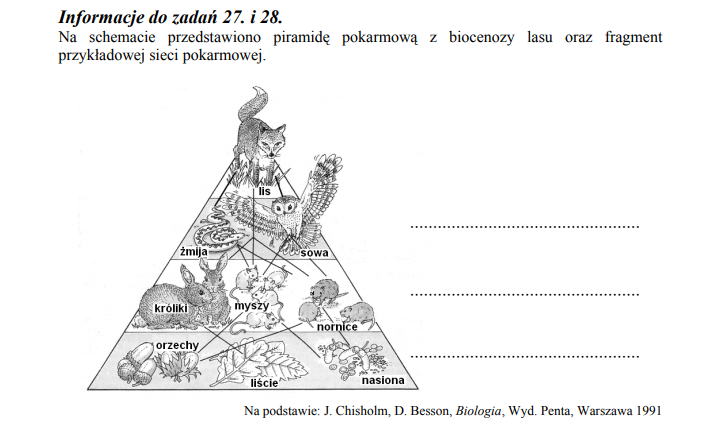 Biocenoza lasu oraz sieć pokarmowa