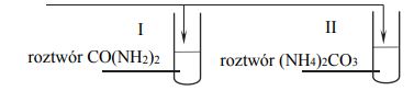 Wykonano doświadczenie, w którym do probówki I wprowadzono wodny roztwór mocznika CO(NH2)2, a do probówki II – wodny roztwór węglanu amonu (NH4)2CO3.