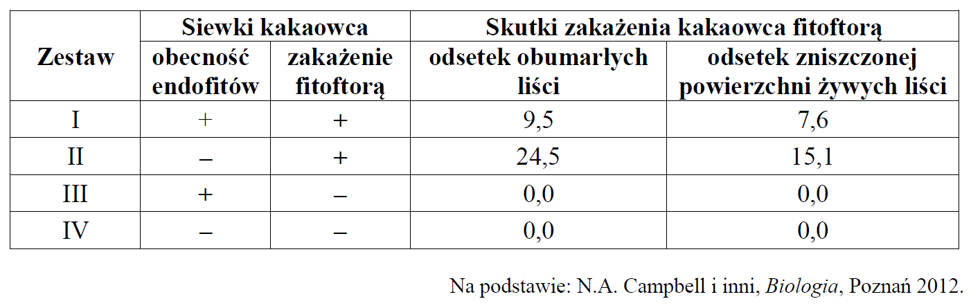 Endofity to symbiotyczne grzyby, głównie workowce…