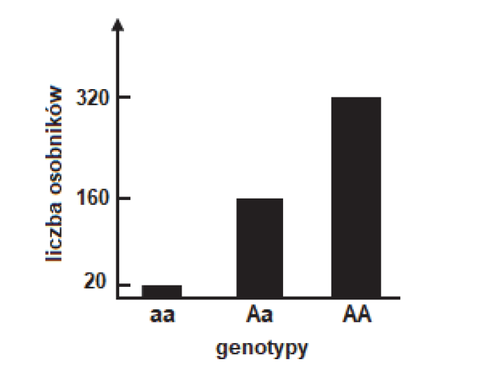 Obliczanie częstości występowania allelu w populacji.
