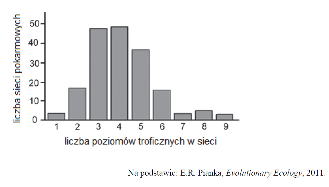 Poziomy troficzne w ekosystemach.