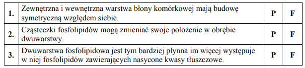 Budowa błony komórkowej komórki zwierzęcej.