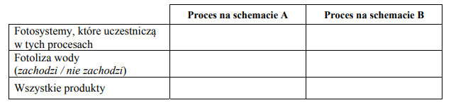 Faza jasna fotosyntezy. Fosforylacja cykliczna i niecykliczna.