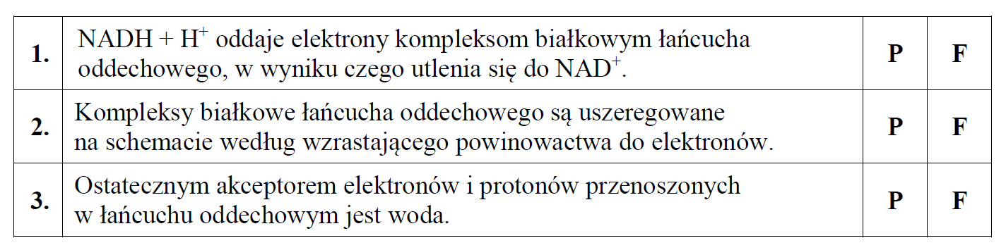 Struktura i funkcjonowanie łańcucha oddechowego.