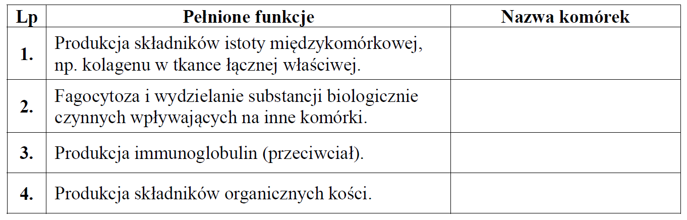 fibroblasty, plazmocyty, osteoblasty, chondrocyty, makrofag, komóki tkanki łącznej.