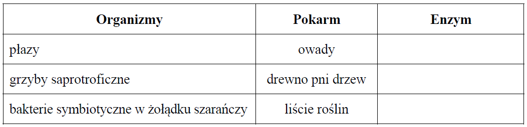 Organizmy heterotroficzne i rodzaje pokarmu którym się żywią.