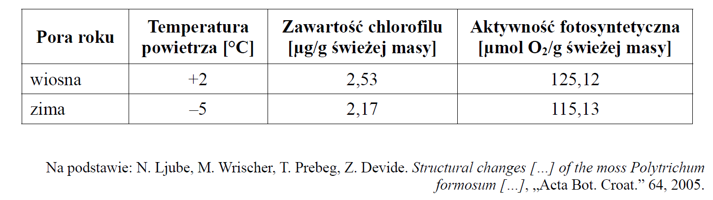 Fragment pewnej komórki mchu złotowłosa strojnego.