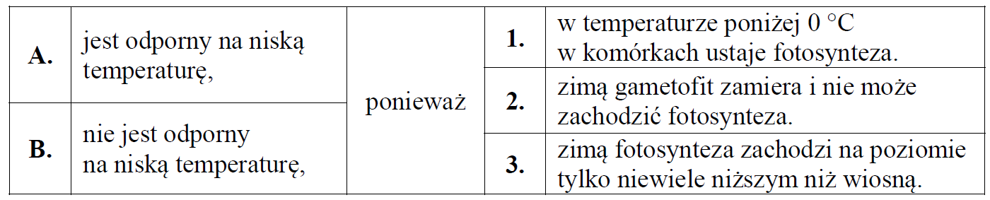 Fragment pewnej komórki mchu złotowłosa strojnego.