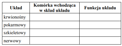 Funkcje wyspecjalizowanych komórek w organizmie człowieka.