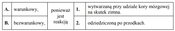 Budowa skóry i związek z ochroną przed utratą ciepła