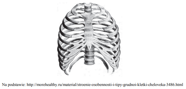 Liczba oraz rodzaje żeber u człowieka.