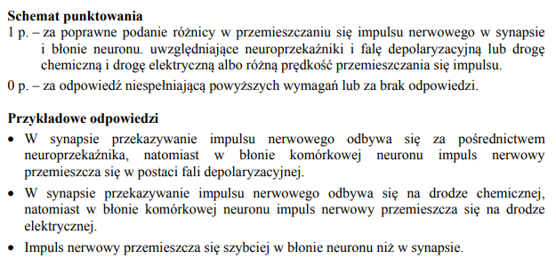 Różnice w przemieszczaniu się impulsu w obrębie synapsy neuronu i błony.