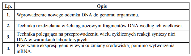 Techniki inżynierii genetycznej.