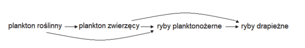 Poziomy troficzne ryb planktonożernych i drapieżnych w ekosystemie.
