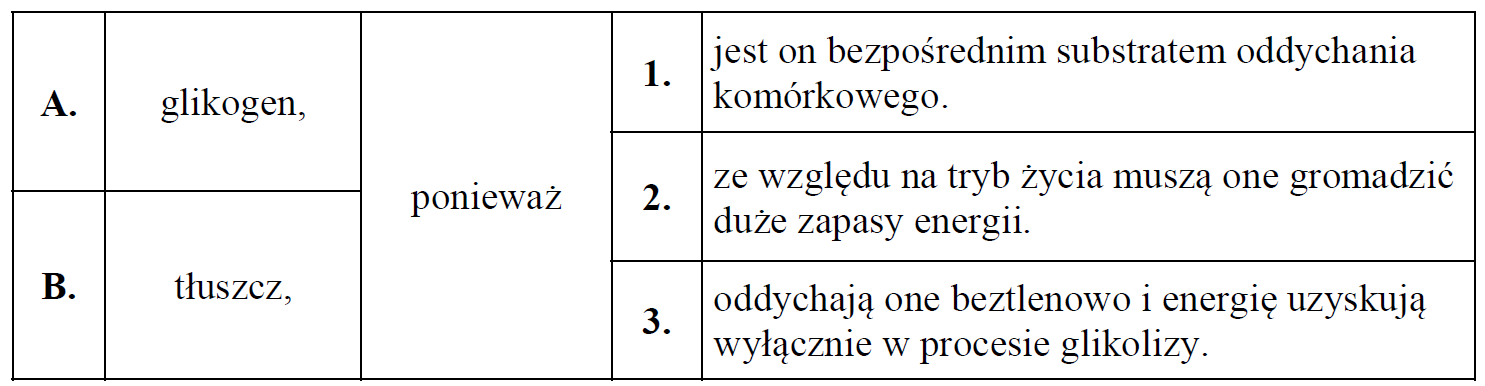 Etapy oddychanie komórkowego, beta-oksydacja, synteza cholesterolu.