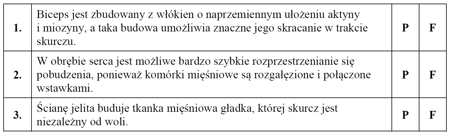 Biceps, serce, mięśnie budujące jelito cienkie. Tkanki mięśniowe.