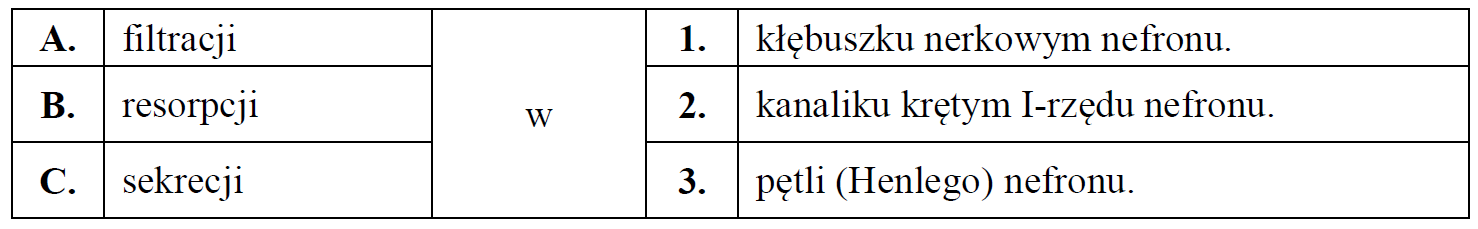 Wykorzystanie inuliny w badaniu pracy nerek.