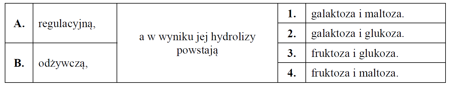 Uwarunkowania genetyczne nietolerancji laktozy. Podłoże nietolerancji laktozy.