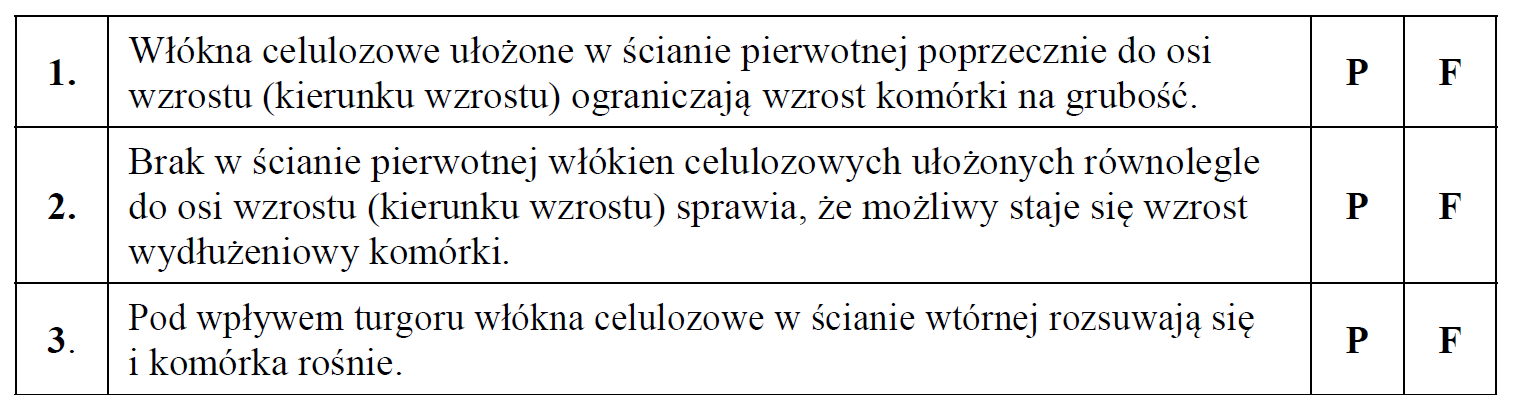 Wzrost ściany komórkowej, odkładanie warstw celulozowych.