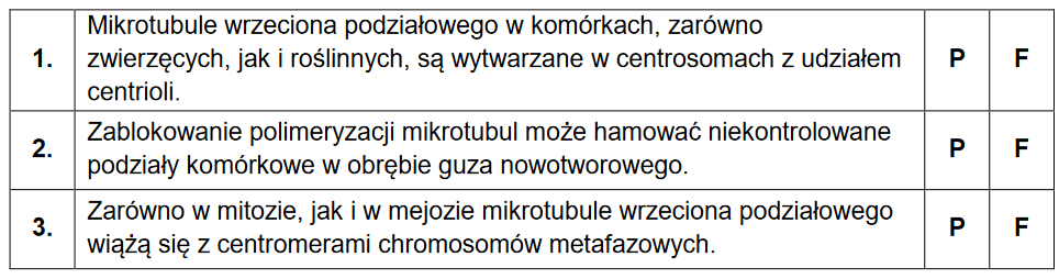 Organella komórkowe – mikrotubule i mechanizm ich działania