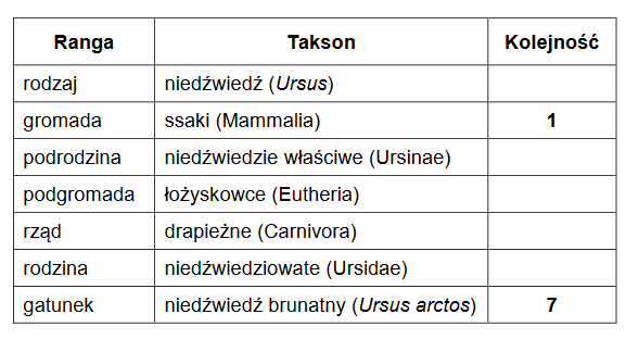 Filogeneza i taksonomia niedźwiedziowatych