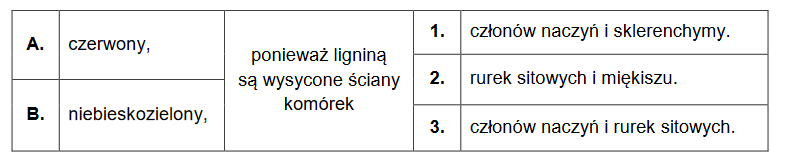 Safranina i zieleń świetlista – barwniki związków budulcowych ścian komórkowych roślin