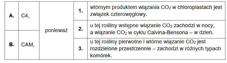 Cykl Calvina-Bensona w chloroplastach opuncji figowej