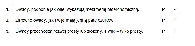 Układ tchawkowy – transport gazów oddechowych oraz wymiany gazowej u owadów i wijek