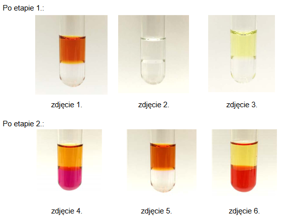 Reakcje w probówkach i zmiana kolorów po dodaniu odczynników