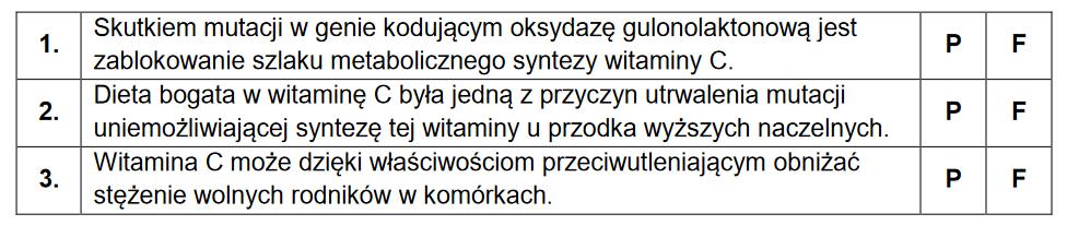 Witamina C i jej metabolizm w ludzkim organizmie