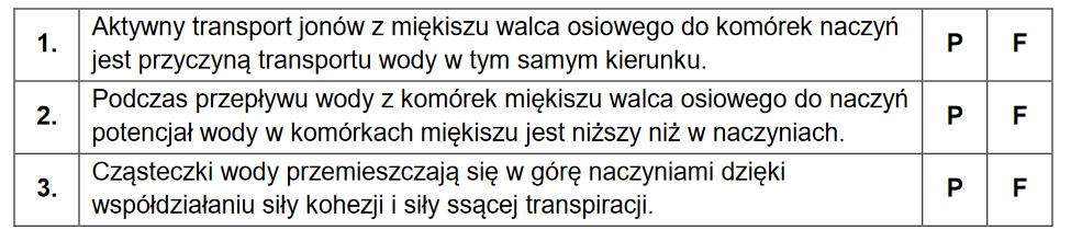 Przepływ wody w korzeniach roślin