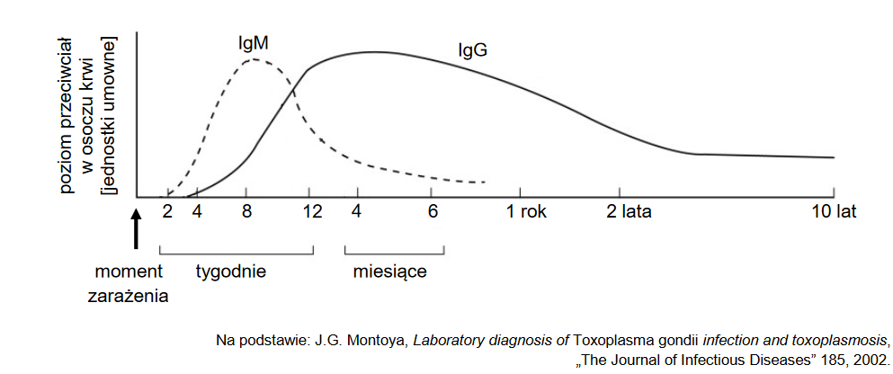 Klasy przeciwciał w przebiegu odpowiedzi immunologicznej