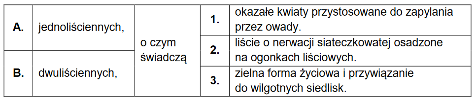 Pełnik europejski i muchówki – przykład mutualizmu