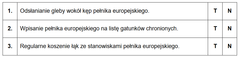 Pełnik europejski i muchówki – przykład mutualizmu