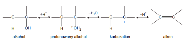 Dehydratacja (odwodnienie) alkoholi – reakcja, w wyniku której, w obecności kwasu, z alkoholu otrzymuje się alken