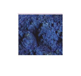 Błękit indygo – naturalny barwnik