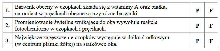 pręciki i czopki – komórki światłoczułe w siatkówce oka