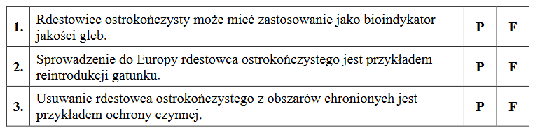 Rdestowiec ostrokończysty – roślina pochodząca z południowej Azji