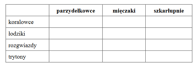 Rafy koralowe – siedlisko życiowe różnych organizmów morskich