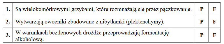 drożdże szlachetne – ich zastosowanie do produkcji szczepionki przeciwko WZW typu B