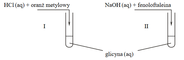 potwierdzanie charakteru chemicznego aminokwasów