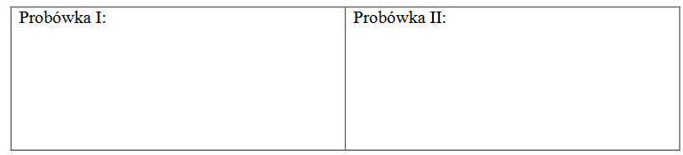 potwierdzanie charakteru chemicznego aminokwasów