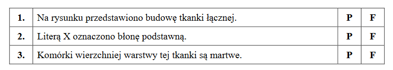 identyfikacja tkanki występującej w organizmie człowieka