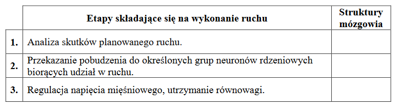 Ośrodki położone w mózgowiu odpowiedzialne za ruchy złożone