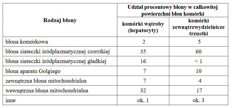 błona komórkowa komórek zwierzęcych