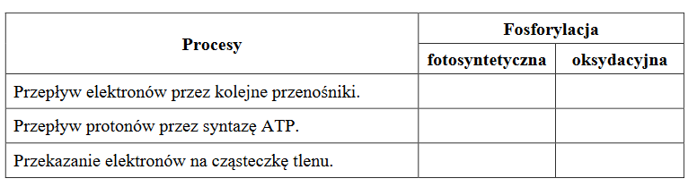 fosforylacja difosforanu adenozyny (ADP) do trifosforanu adenozyny (ATP)